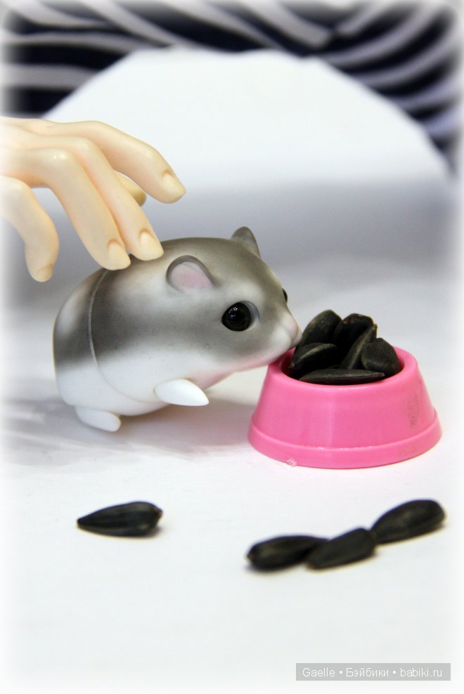 Новый питомец sakura&paper