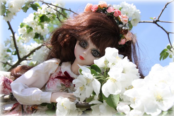 Звезда подиума