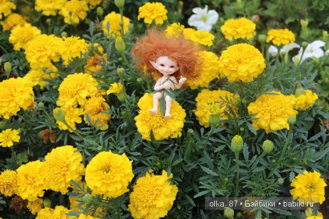 Моя маленькая прелесть. Кукла БЖД Реалпуки Soso