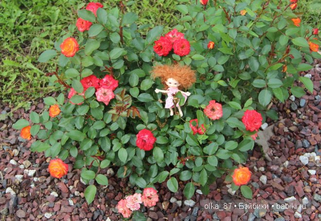 Моя маленькая прелесть. Кукла БЖД Реалпуки Soso