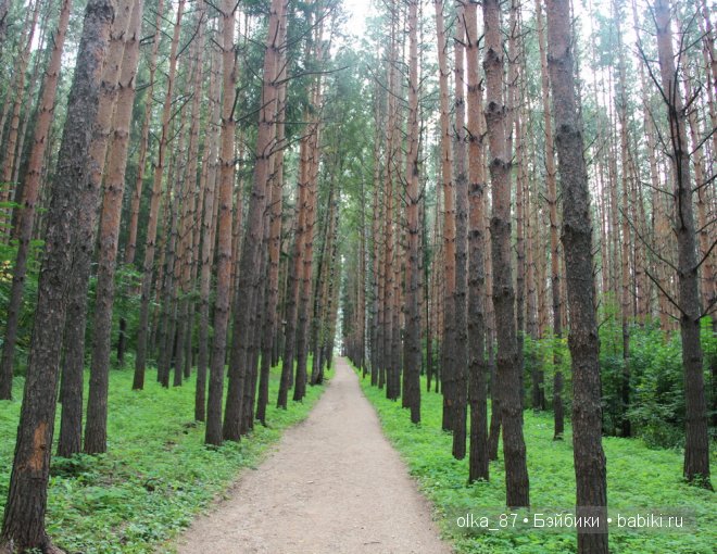 Та самая лесная прогулка... Лесное дитя - Реалпуки Soso
