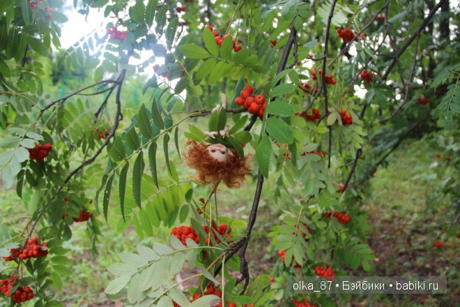 Та самая лесная прогулка... Лесное дитя - Реалпуки Soso