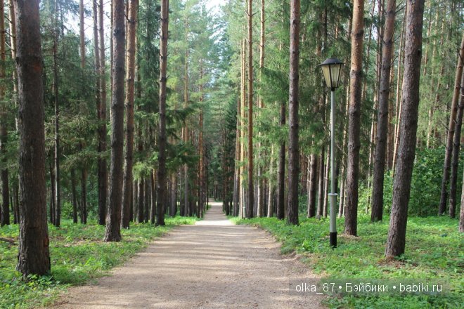 Та самая лесная прогулка... Лесное дитя - Реалпуки Soso