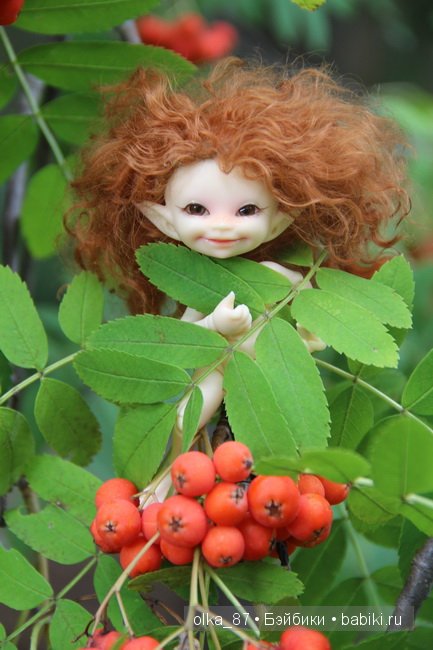 Та самая лесная прогулка... Лесное дитя - Реалпуки Soso