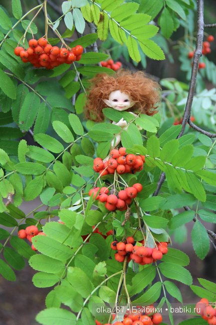 Та самая лесная прогулка... Лесное дитя - Реалпуки Soso