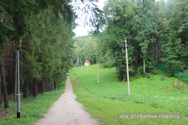 Та самая лесная прогулка... Лесное дитя - Реалпуки Soso