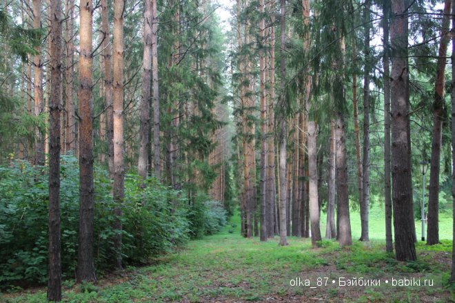 Та самая лесная прогулка... Лесное дитя - Реалпуки Soso