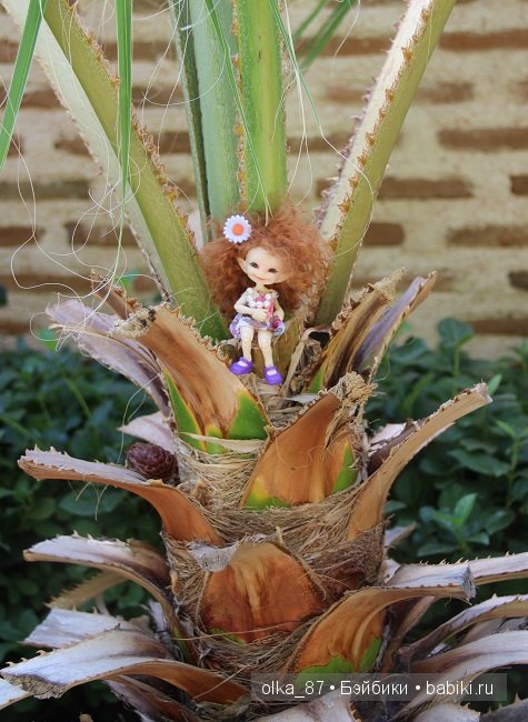 Кусочек моря... Или моя Сайлас (Реалпуки Soso) отдыхает на море (фото 6)