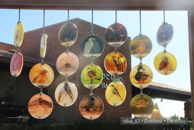 Кусочек моря... Или моя Сайлас (Реалпуки Soso) отдыхает на море