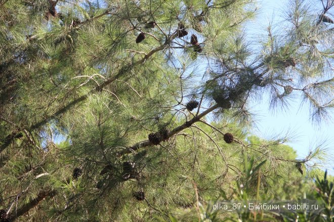 Кусочек моря... Или моя Сайлас (Реалпуки Soso) отдыхает на море