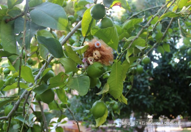 Кусочек моря... Или моя Сайлас (Реалпуки Soso) отдыхает на море (фото 9)