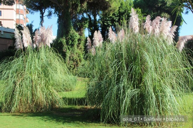 Кусочек моря... Или моя Сайлас (Реалпуки Soso) отдыхает на море