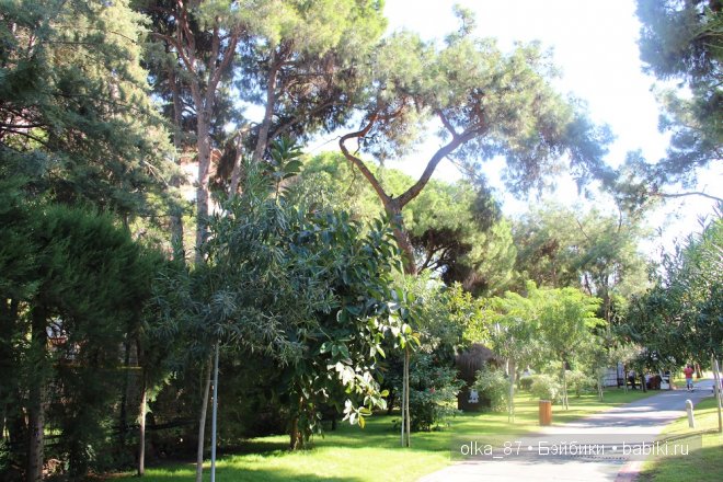 Кусочек моря... Или моя Сайлас (Реалпуки Soso) отдыхает на море