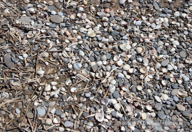 Моя Сайлас (Реалпуки Soso) отдыхает на море и гуляет по зоопарку