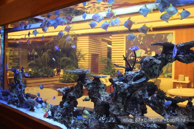 Моя Сайлас (Реалпуки Soso) отдыхает на море и гуляет по зоопарку