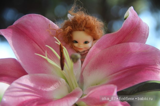 Моя Сайлас (Реалпуки Soso) отдыхает на море и гуляет по зоопарку