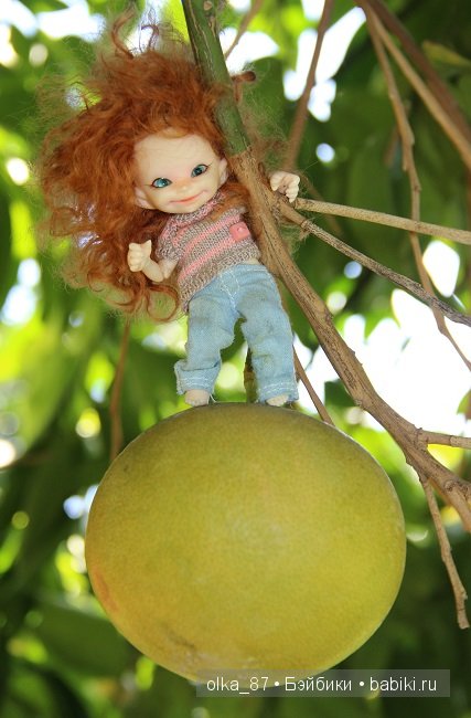 Моя Сайлас (Реалпуки Soso) отдыхает на море и гуляет по зоопарку