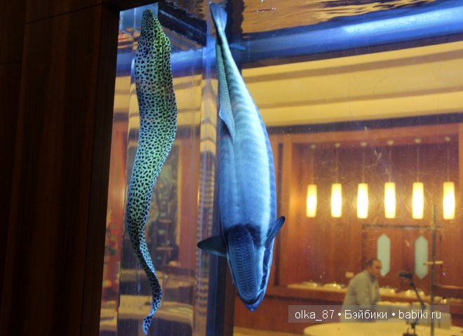 Моя Сайлас (Реалпуки Soso) отдыхает на море и гуляет по зоопарку