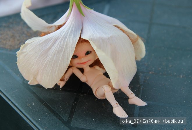 Моя Сайлас (Реалпуки Soso) отдыхает на море и гуляет по зоопарку