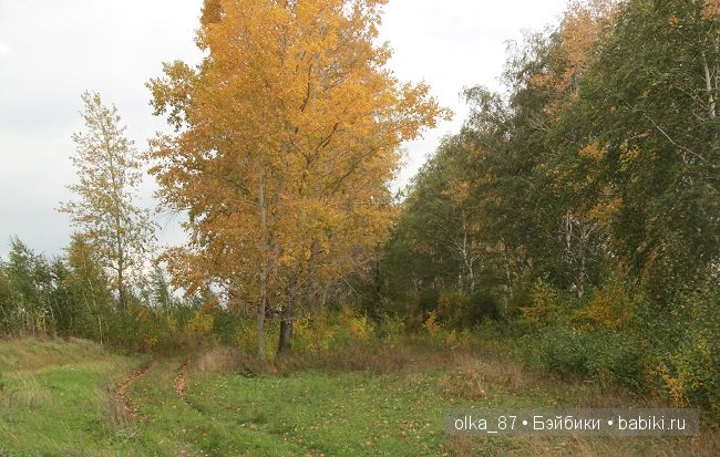 Принципесса Gotz 1998 год. Principessa Collection - Annie