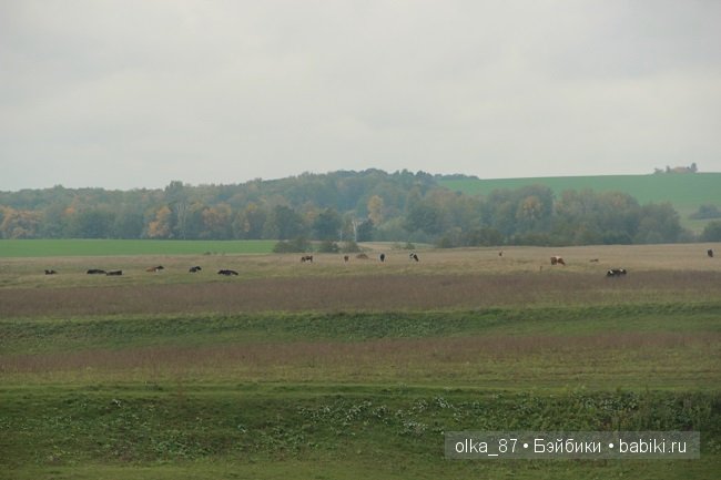 Принципесса Gotz 1998 год. Principessa Collection - Annie