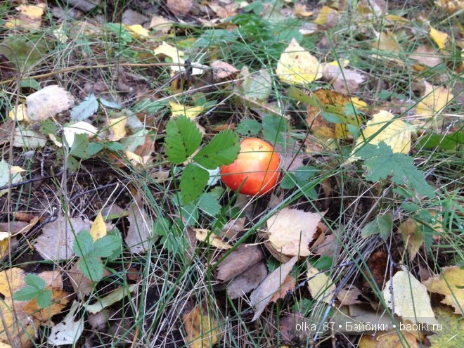 Лесная прогулка с моей новенькой малышкой Жасмин (Jasmine) Gotz 2003 год