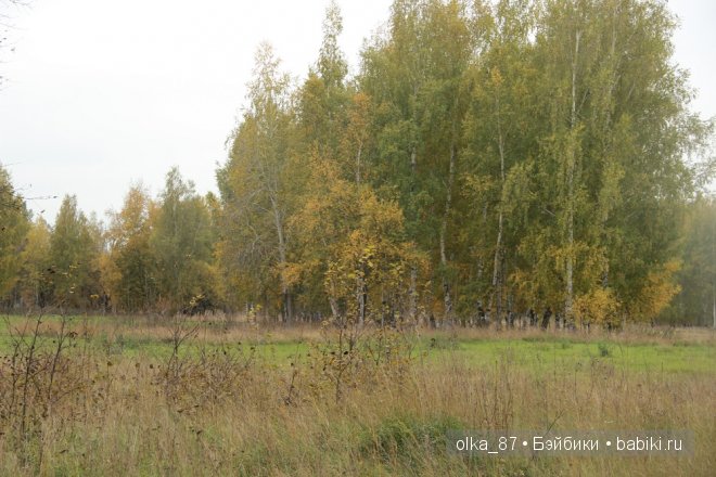 Лесная прогулка с моей новенькой малышкой Жасмин (Jasmine) Gotz 2003 год