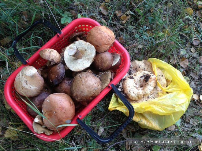 Лесная прогулка с моей новенькой малышкой Жасмин (Jasmine) Gotz 2003 год