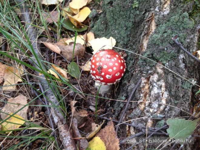 Лесная прогулка с моей новенькой малышкой Жасмин (Jasmine) Gotz 2003 год