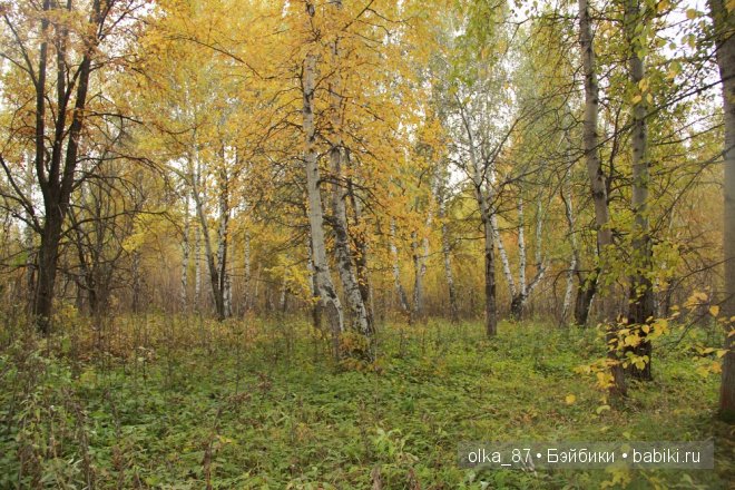 Жасмин (Jasmine) Gotz 2003 год