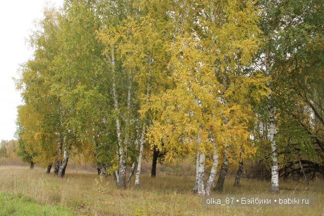 Лесная прогулка с моей новенькой малышкой Жасмин (Jasmine) Gotz 2003 год