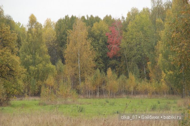 Лесная прогулка с моей новенькой малышкой Жасмин (Jasmine) Gotz 2003 год (фото 4)