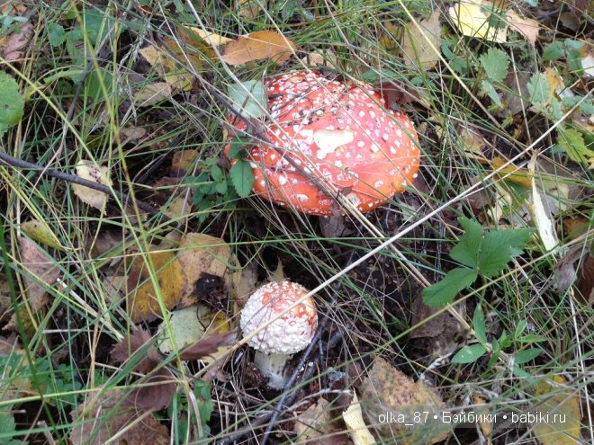 Лесная прогулка с моей новенькой малышкой Жасмин (Jasmine) Gotz 2003 год