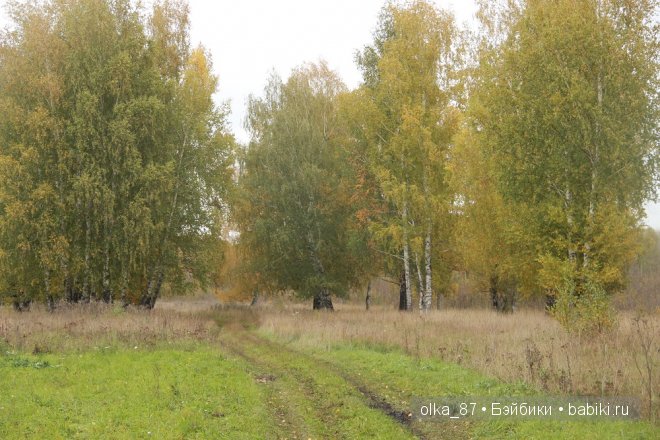Лесная прогулка с моей новенькой малышкой Жасмин (Jasmine) Gotz 2003 год (фото 9)