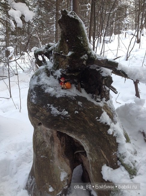 Новогодний отдых моей Реалпуки - Сайлас или поездка за город