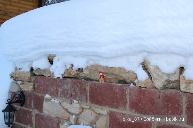 Новогодний отдых моей Реалпуки - Сайлас или поездка за город