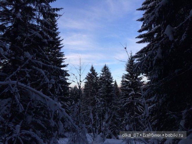 Новогодний отдых моей Реалпуки - Сайлас или поездка за город