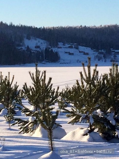 Новогодний отдых моей Реалпуки - Сайлас или поездка за город