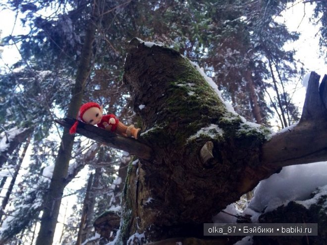 Новогодний отдых моей Реалпуки - Сайлас или поездка за город