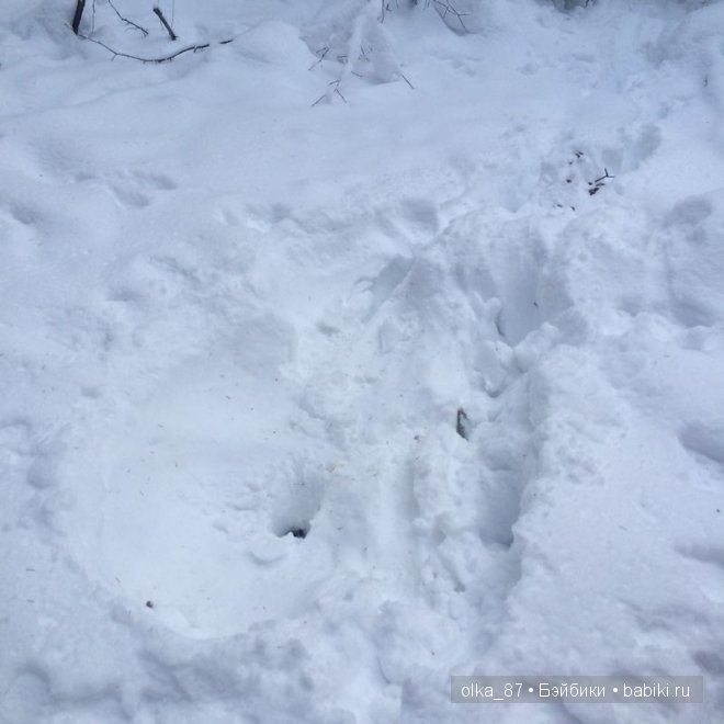Новогодний отдых моей Реалпуки - Сайлас или поездка за город
