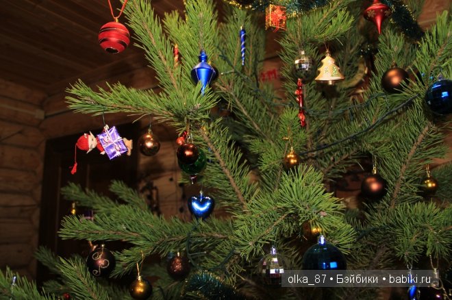 Новогодний отдых моей Реалпуки - Сайлас или поездка за город (фото 5)