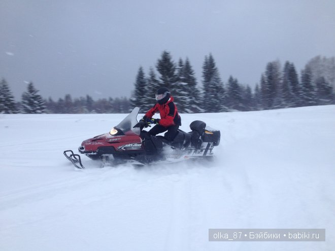 Новогодний отдых моей Реалпуки - Сайлас или поездка за город