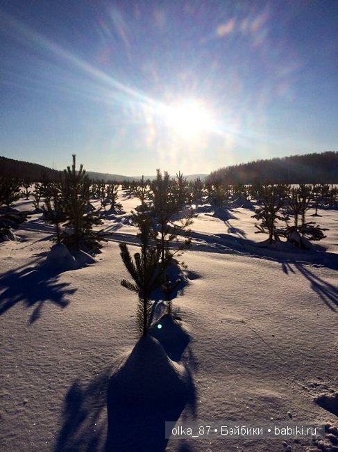 Новогодний отдых моей Реалпуки - Сайлас или поездка за город