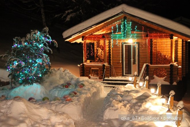 Новогодний отдых моей Реалпуки - Сайлас или поездка за город