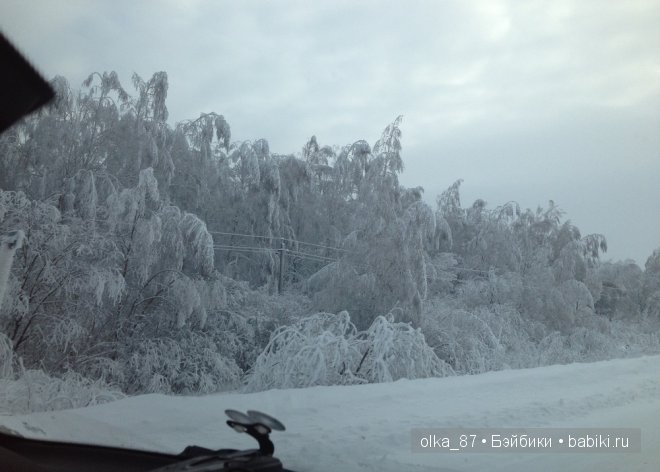 Новогодний отдых моей Реалпуки - Сайлас или поездка за город