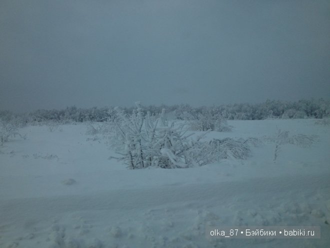Новогодний отдых моей Реалпуки - Сайлас или поездка за город (фото 2)