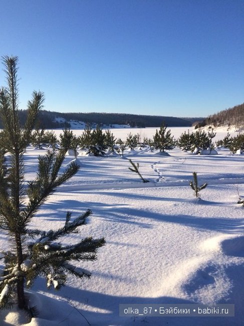 Новогодний отдых моей Реалпуки - Сайлас или поездка за город