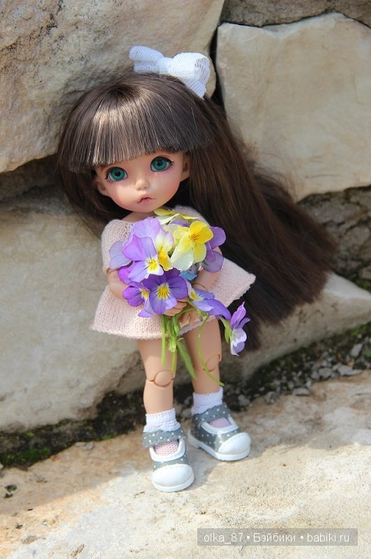 Анютины глазки-Pukifee Ante (тан) (фото 4)