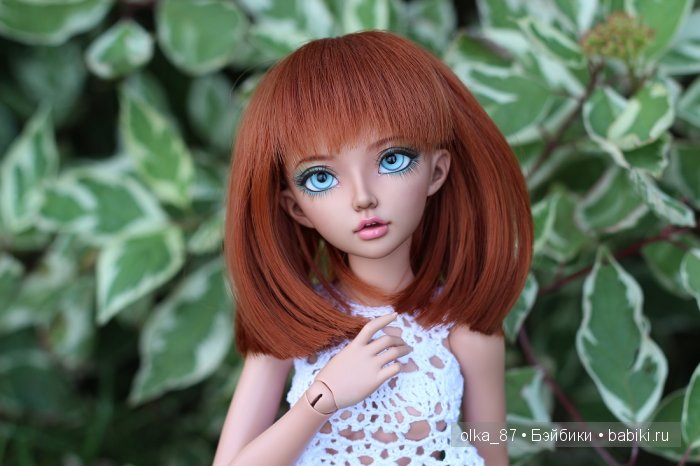 Дачные зарисовки или Астер на прогулке (Минифи Селин) (фото 4)