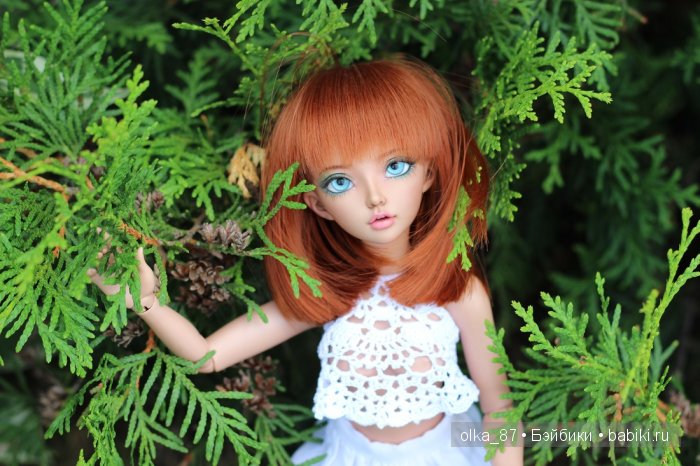 Дачные зарисовки или Астер на прогулке (Минифи Селин) (фото 7)